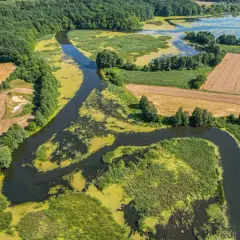 Malowniczy krajobraz z krętą rzeką, porośniętą zielenią, otoczoną lasami i polami. W oddali widać jezioro.