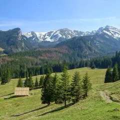 Majestatyczne gory Tatr, pokryte śniegiem szczyty, zielone hale i lasy. Na pierwszym planie drewniana chata.