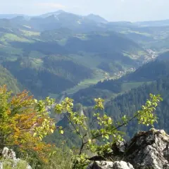 Widok na malownicze **pieniny szczyty** z drzewami w jesiennych barwach na pierwszym planie.
