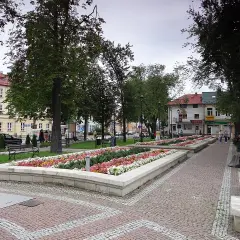 Urokliwe miasto w kotlinie sandomierskiej nad Sanem, z kwitnącymi rabatami kwiatów i brukowanym deptakiem.