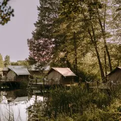 Domki nad jeziorem w Wielkopolsce – idealne miejsce na relaks i wypoczynek