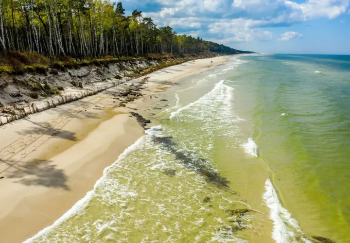 Piękna lubiatowo plaża z lasem sosnowym w tle i zielonym morzem.
