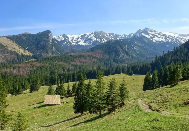 Majestatyczne gory Tatr, pokryte śniegiem szczyty, zielone hale i lasy. Na pierwszym planie drewniana chata.