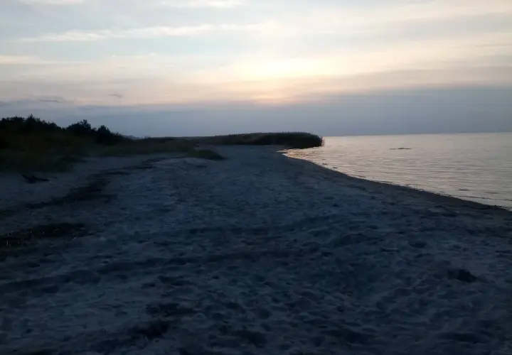 Spokojna, piaszczysta plaża o zmierzchu. W oddali widać zarośla trzciny i spokojne morze.