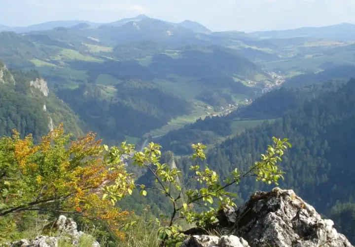 Widok na malownicze **pieniny szczyty** z drzewami w jesiennych barwach na pierwszym planie.