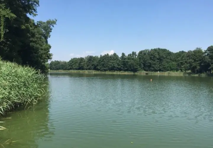 Jezioro Raczyńskie: Odkryj urokliwe miejsca i atrakcje turystyczne