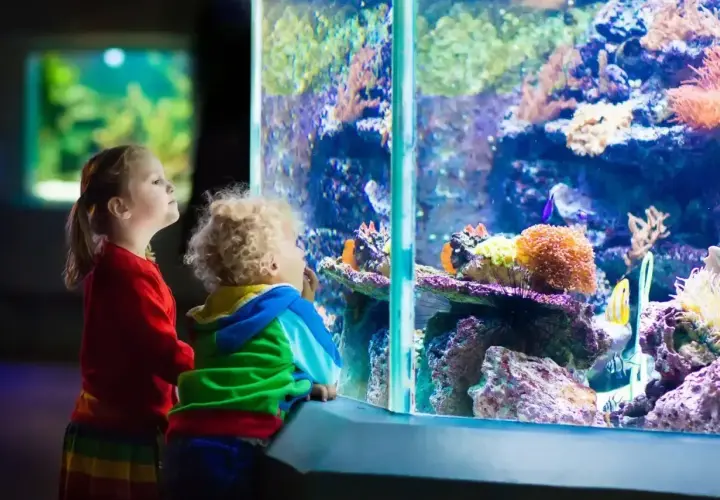Dzieci zachwycone kolorowym światem podwodnym w oceanarium w Katowicach.