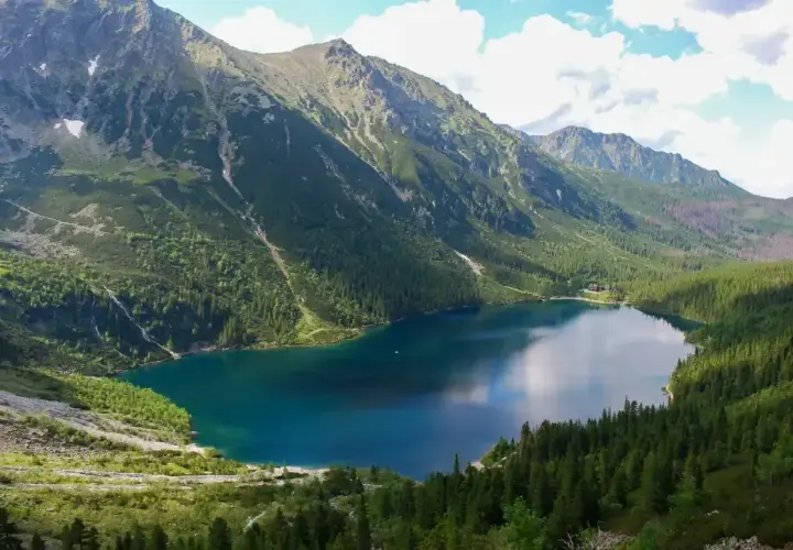 Malownicze Morskie Oko, idealne na górską trasę. Jezioro otoczone zielonymi lasami i skalistymi szczytami Tatr.