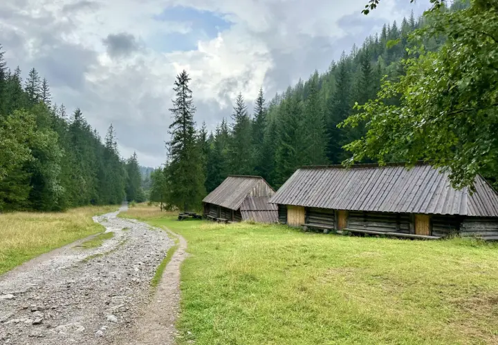 Kamienne ścieżki i drewniane chaty w Dolinie Jaworzynki, otoczone gęstym lasem świerkowym.