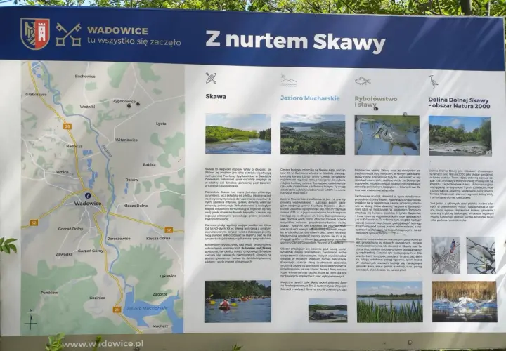 Mapa turystyczna z zaznaczoną rzeką Skawą, która płynie przez Wadowice. Opisuje atrakcje i przyrodę regionu.