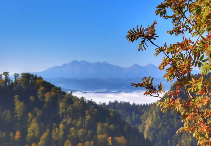 Jesienny widok z sokolica szlak na Tatry. Mgły unoszą się w dolinach, a drzewa mienią się kolorami.