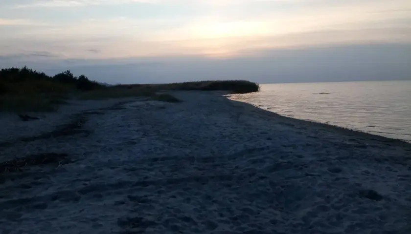 Spokojna, piaszczysta plaża o zmierzchu. W oddali widać zarośla trzciny i spokojne morze.
