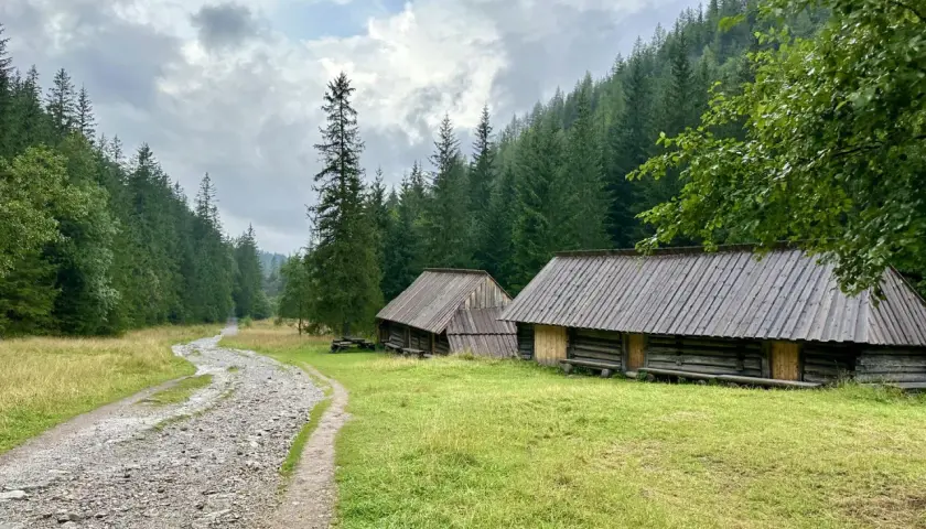 Kamienne ścieżki i drewniane chaty w Dolinie Jaworzynki, otoczone gęstym lasem świerkowym.