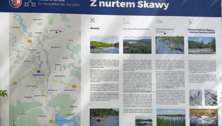 Mapa turystyczna z zaznaczoną rzeką Skawą, która płynie przez Wadowice. Opisuje atrakcje i przyrodę regionu.
