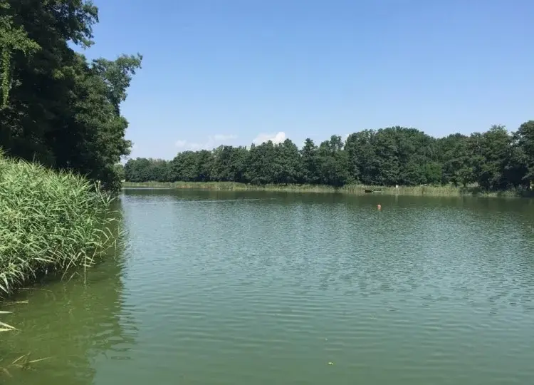 Jezioro Raczyńskie: Odkryj urokliwe miejsca i atrakcje turystyczne
