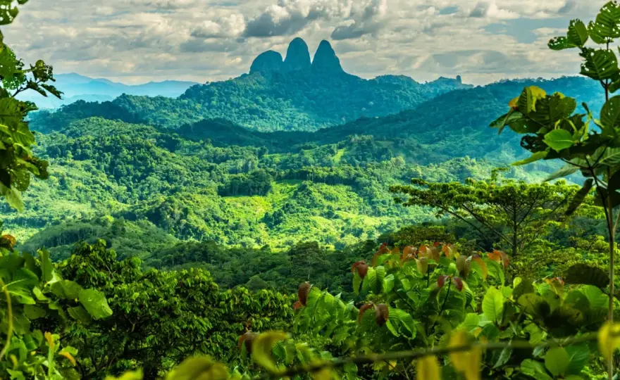 Brunei na Borneo - czy warto? Plan podróży i co zobaczyć