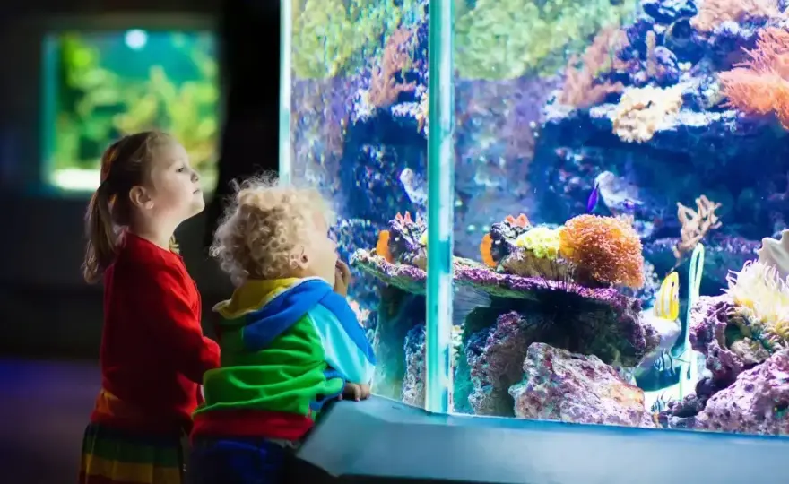 Oceanarium Katowice - Gdzie naprawdę warto pojechać?