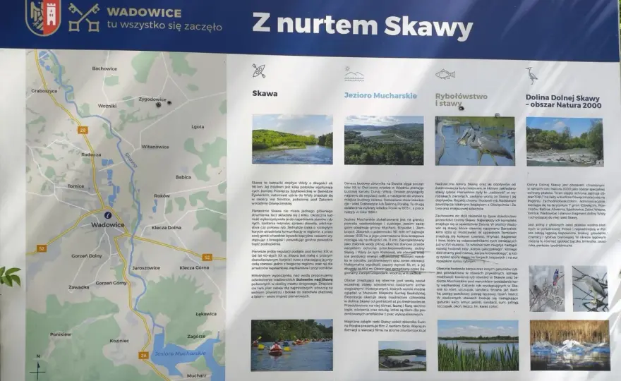 Wadowice nad Skawą - Odkryj miasto inaczej!