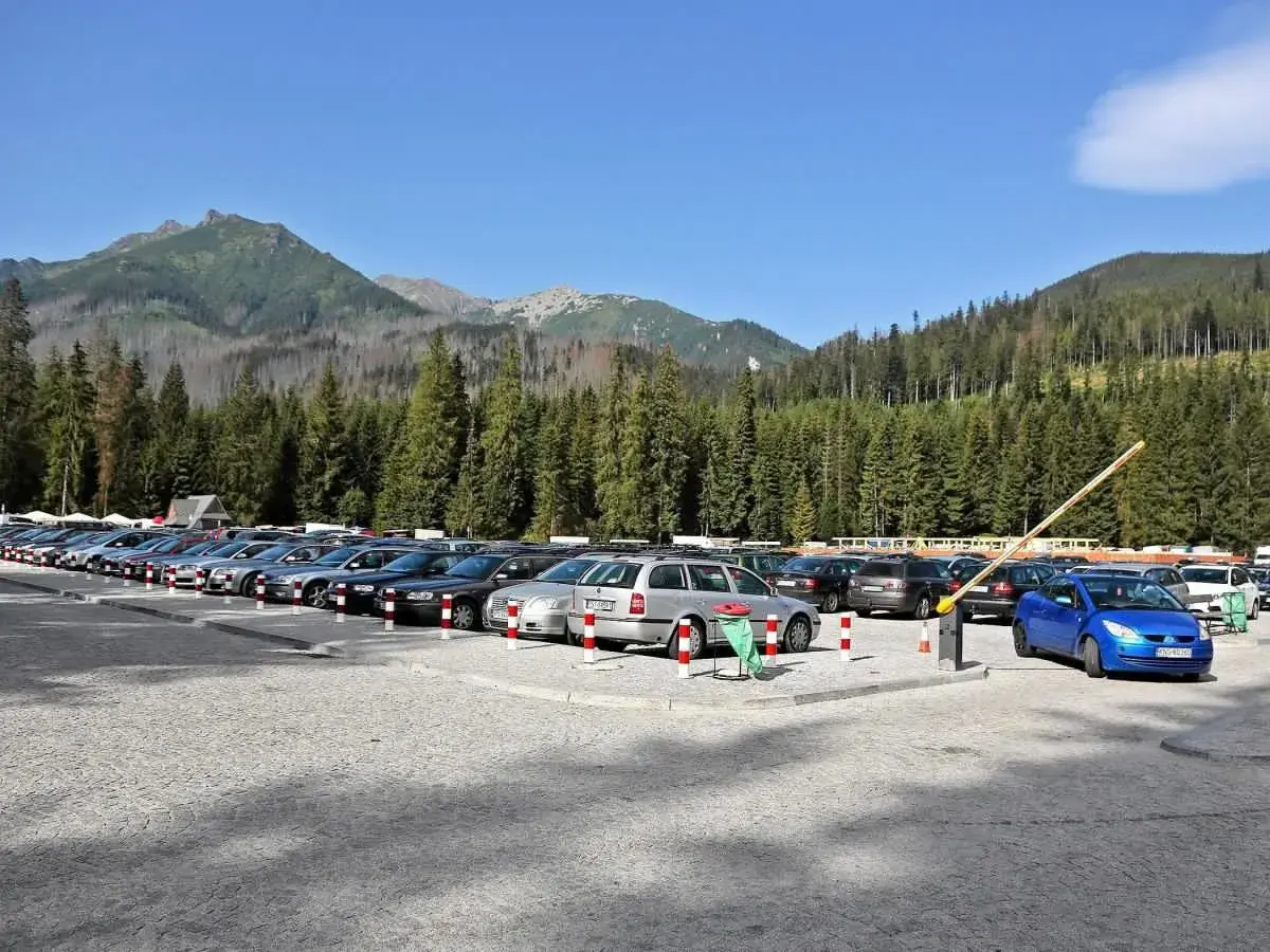 Duży parking na Łysej Polanie, pełen samochodów, z widokiem na góry i las.